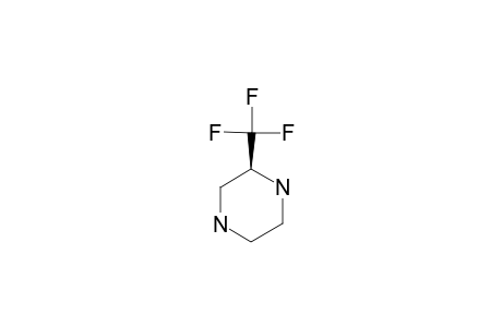 2-TRIFLUOROMETHYL-PIPERAZINE