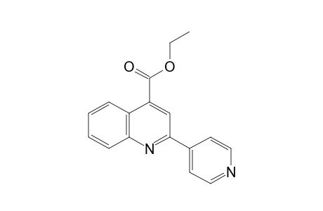 2-(4-pyridyl)cinchoninic acid, ethyl ester