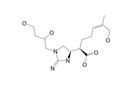 PLUMBAGINE_E