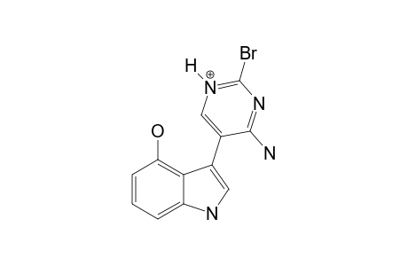 PSAMMOPEMMIN-A