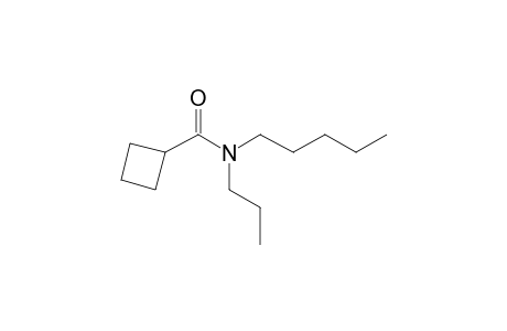 Cyclobutanecarboxamide, N-propyl-N-pentyl-