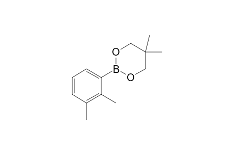 2-(2,3-Dimethylphenyl)-5,5-dimethyl-1,3,2-dioxaborinane