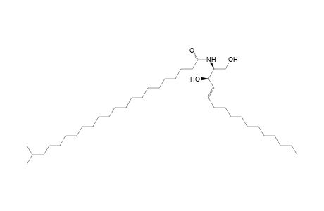 N-[(2S,3R,4E)-1,3-DIHYDROXYHEXADEC-4-EN-2-YL]-12-METHYLDOCOSANAMIDE