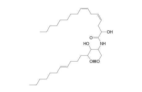 Cer 15:1;3O/16:2;(2OH)