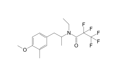 N-ethyl-2,2,3,3,3-pentafluoro-N-(1-(4-methoxy-3-methylphenyl)propan-2-yl)propanamide