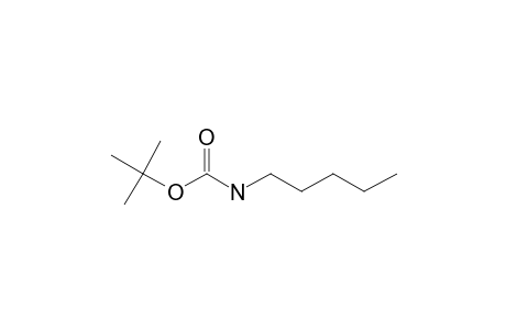 Carbonic acid, monoamide, tert-butyl ester, N-pentyl-