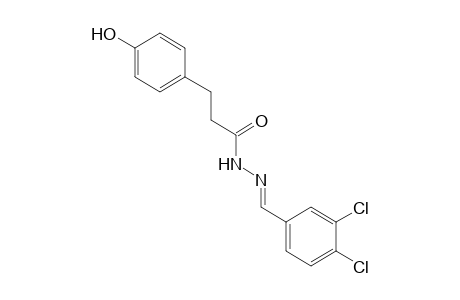 p-hydroxyhydrocinnamic acid, (3,4-dichlorobenzylidene)hydrazide