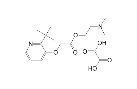 2-(dimethylamino)ethyl [(2-tert-butyl-3-pyridinyl)oxy]acetate oxalate