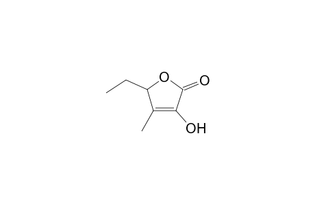 5-ethyl-3-hydroxy-4-methyl-5H-furan-2-one