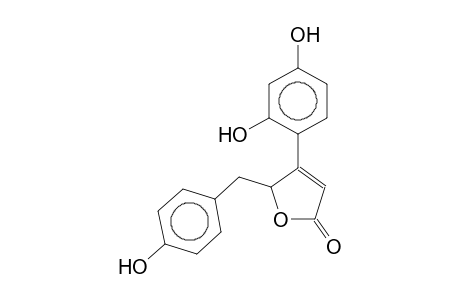 PUEROL A