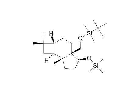 (1R,2S,5R,8S,9R)-8-(TERT.-BUTYLDIMETHYLSILYLOXY)-METHYL-1,4,4-TRIMETHYL-9-ALPHA-TRIMETHYLSILYLOXYTRICYCLO-[6.3.0.0(2,5)]-UNDECANE