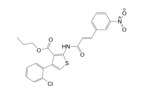 propyl 4-(2-chlorophenyl)-2-{[(2E)-3-(3-nitrophenyl)-2-propenoyl]amino}-3-thiophenecarboxylate