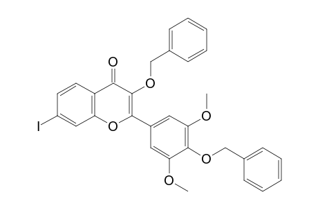 3-Benzyloxy-7-iodo-2-(4-benzyloxy-3,5-dimethoxy phenyl)chromen-4-one