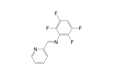 2,3,5,6-Tetrafluoro-N-(pyridin-2-ylmethylidene)aniline