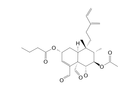 CASEANIGRESCEN_A-2