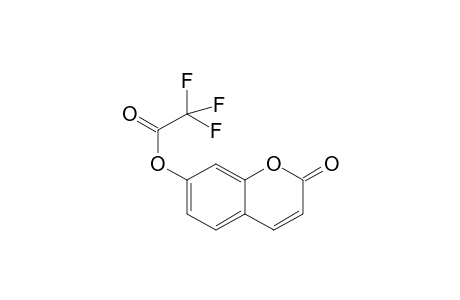 Umbelliferone TFA             @