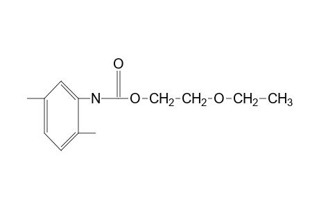 2,5-dimethylcarbanilic acid, 2-ethoxyethyl ester