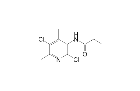 N-(2,5-Dichloro-4,6-dimethyl-pyridin-3-yl)-propionamide