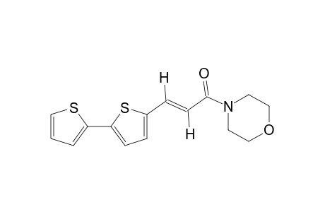 trans-4-{3-[5-(2-thienyl)-2-thienyl]acryloyl}morpholine