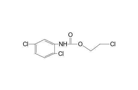 2,5-dichlorocarbanilic acid, 2-chloroethyl ester