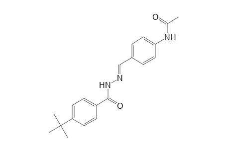 p-tert-butylbenzoic acid, (p-acetamidobenzylidene)hydrazide
