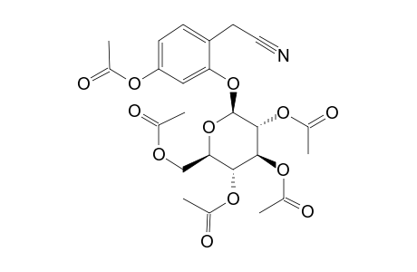 Ehretioside B, pentaacetate