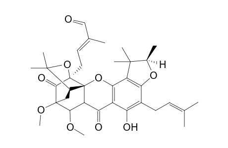 Scortechinone T