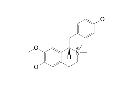 LOTUSINE