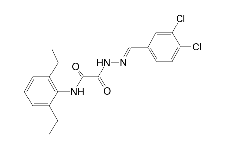 2-[2-(3,4-dichlorobenzylidene)hydrazino]-N-(2,6-diethylphenyl)-2-oxoacetamide