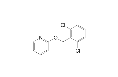 2-[(2,6-Dichlorobenzyl)oxy]pyridine