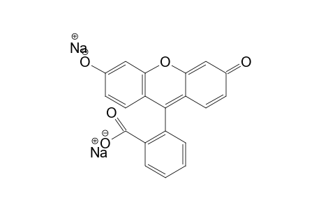 fluorescein, disodium salt
