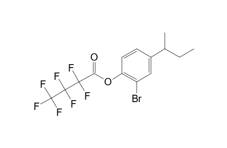 2-Bromo-4-sec-butylphenol, o-heptafluorobutyryl-