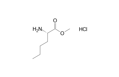 L-Norleucine methyl ester hydrochloride