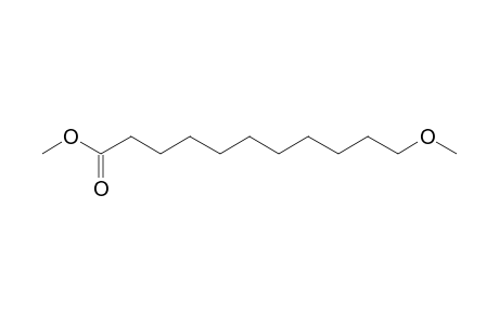 11-methoxyundecanoic acid, methyl ester