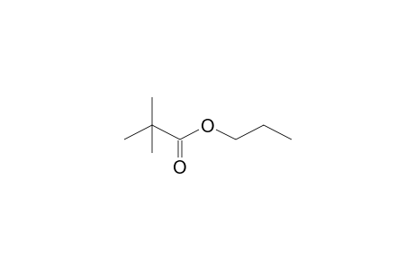 Propanoic acid, 2,2-dimethyl-, propyl ester