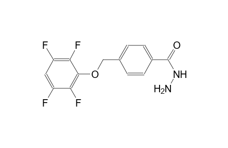 4-[(2,3,5,6-tetrafluorophenoxy)methyl]benzohydrazide