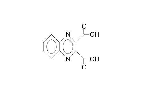 2,3-Quinoxalinedicarboxylic acid