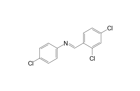 p-chloro-N-(2,4-dichlorobenzylidene)aniline