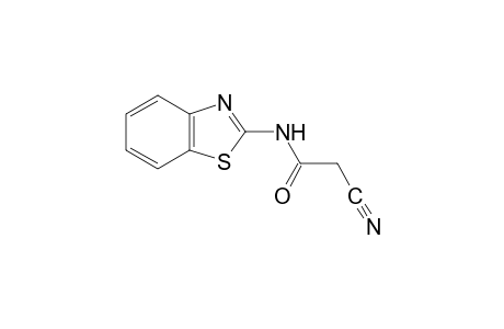 2-cyano-N-(2-benzothiazolyl)acetamide