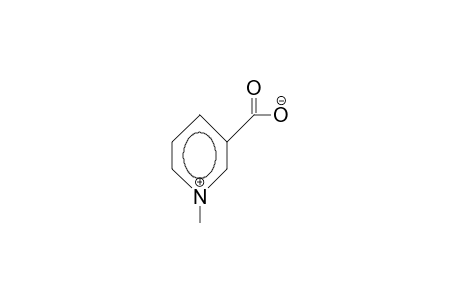 3-carboxy-1-methylpyridinium hydroxide, inner salt