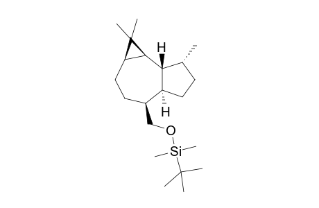 (-)-(1R,2S,4R,7S,8R,11R)-7-tert-Butyldimethylsiloxymethyl-3,3,11-trimethyltricyclo[6.3.0.0(2,4)]undecane