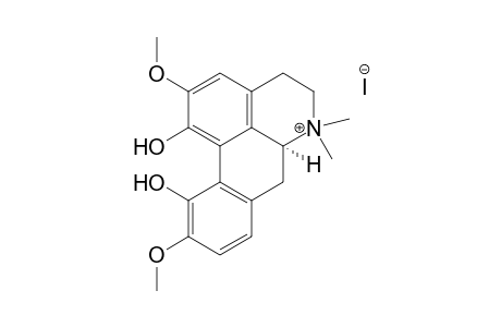 Magnoflorin iodide