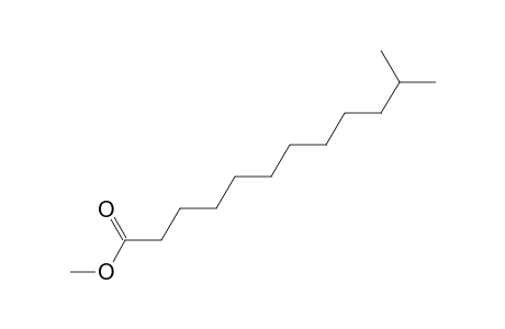 Dodecanoic acid, 11-methyl-, methyl ester