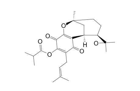 ERECTQUIONE-C