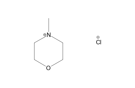 4-METHYL-MORPHOLINE-HYDROCHLORIDE