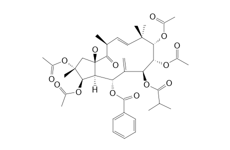 (2R,3R,4R,5R,7S,8S,9S,11E,13S,15R)-2,3,5,7,8,9,15-HEPTAHYDROXYJATROPHA-6(17),11-DIENE-14-ONE-2,3,8,9-TETRAACETATE-5-BENZOATE-7-(2-METHYLPROP