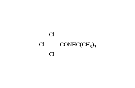 N-(tert-butyl)-2,2,2-trichloroacetamide