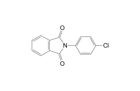 N-(4-Chlorophenyl)phthalimide