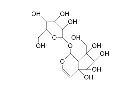 Cynanchosid