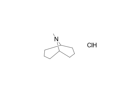 9-AZABICYCLO[3.3.1]NONANE, 9-METHYL-, HYDROCHLORIDE